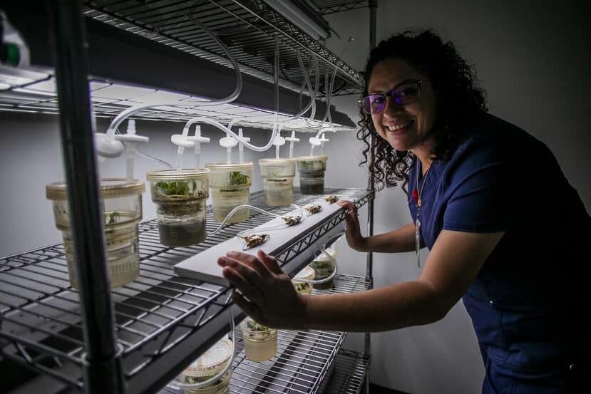 Laboratorios En Barranquitas
