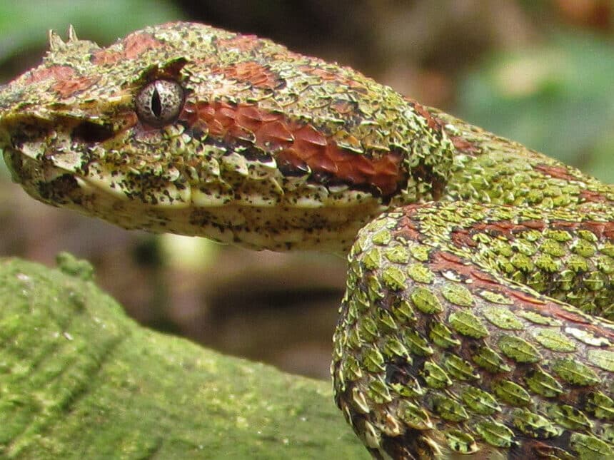 Laboratorios En Culebra