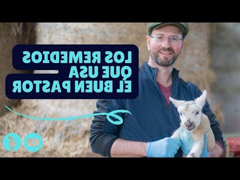 Veterinarios En Añasco
