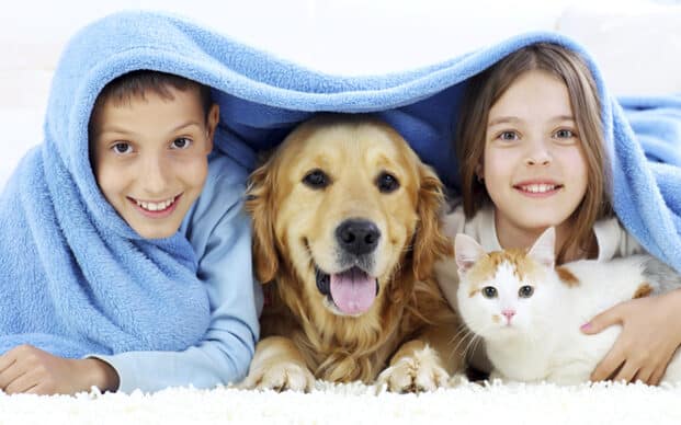 Veterinarios En Caguas