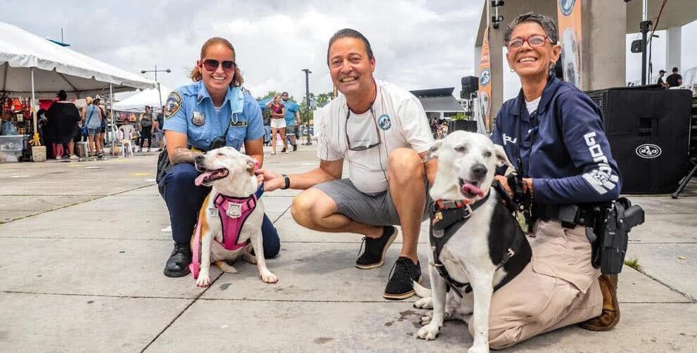Veterinarios En Cataño