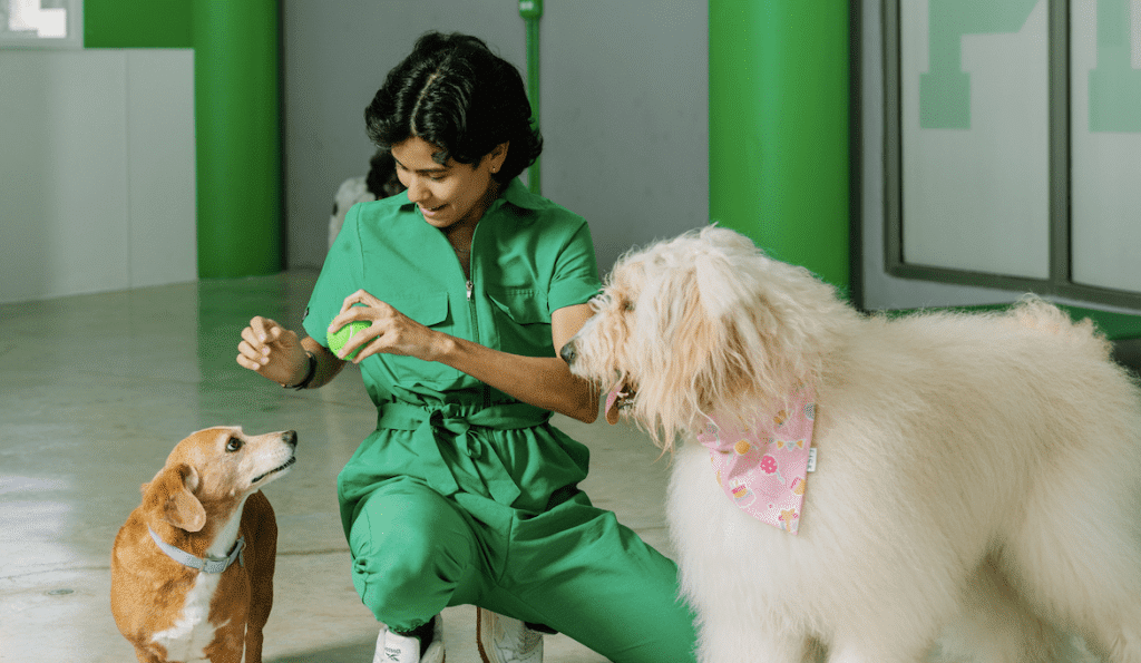 Veterinarios En Comerío