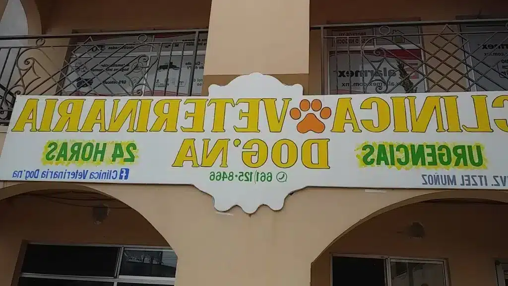 Veterinarios En Dorado