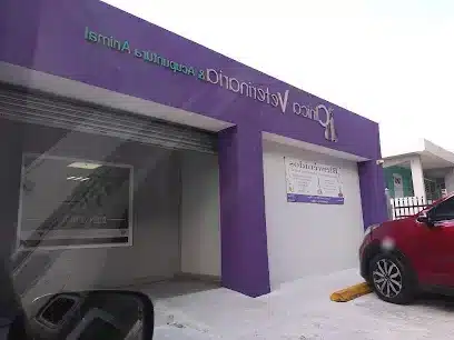 Veterinarios En Gurabo