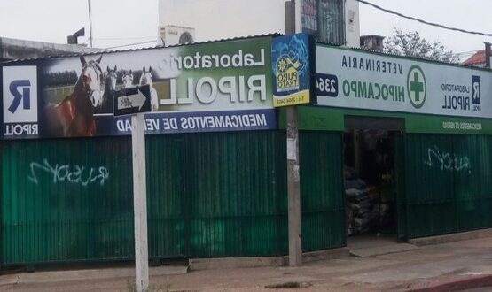 Veterinarios En Las Piedras