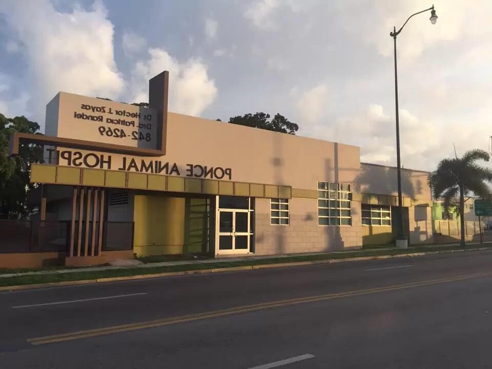 Veterinarios En Ponce