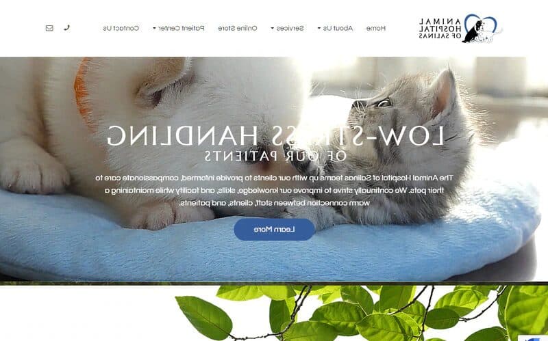 Veterinarios En Salinas