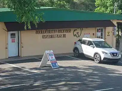 Veterinarios En San Lorenzo